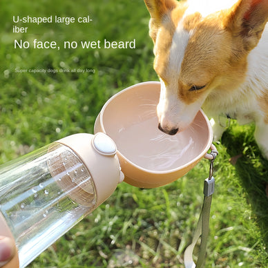 "Unlock Joyful Adventures with Your Happy Pet"